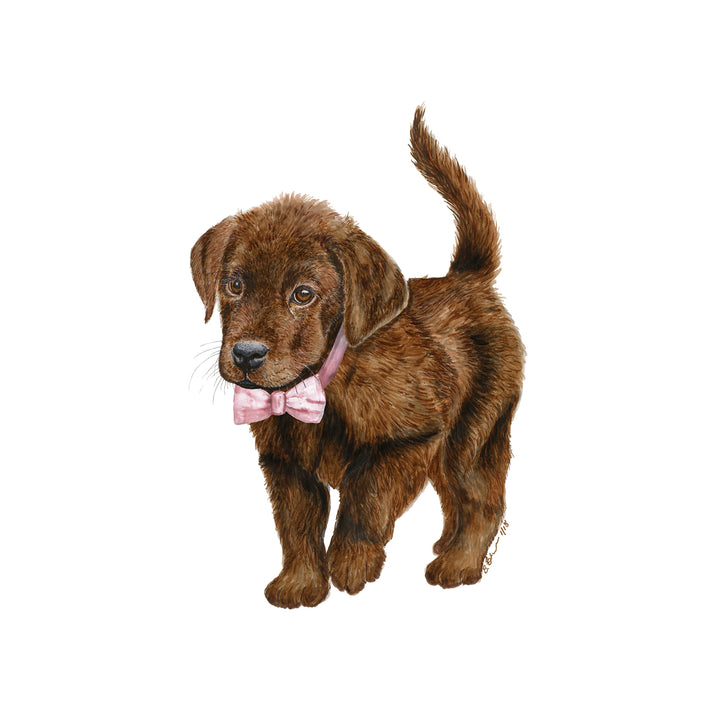 Chocolate Lab with Pink Bowtie Nursery Decor