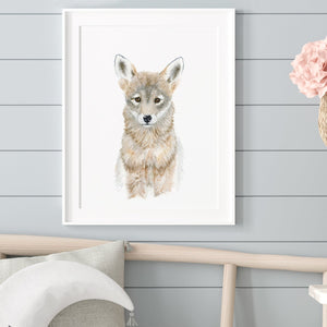 Coyote Pup Portrait