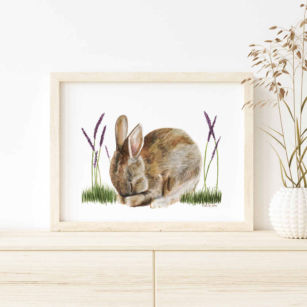 a picture of a rabbit sitting in the grass