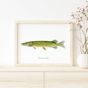 a picture of a northern pike in a frame on a dresser