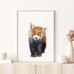a picture of a red panda