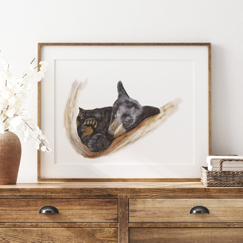 a picture of a cat and a dog in a frame