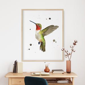 a picture of a hummingbird on a wall above a desk