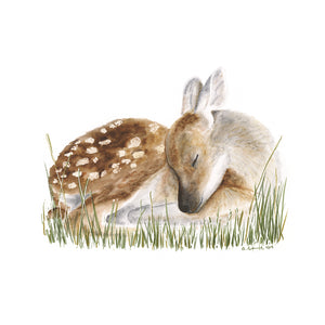 Sleeping Baby Deer Nursery Art