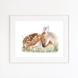 Fawn Watercolor Print