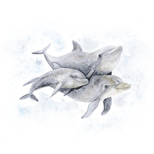 Dolphin Family Illustration