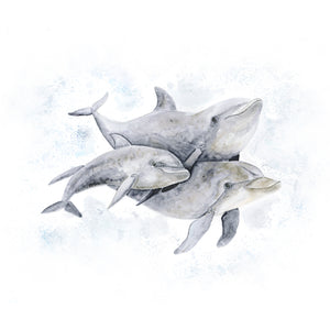 Dolphin Family Illustration - Brett Blumenthal | Tiny Toes Design