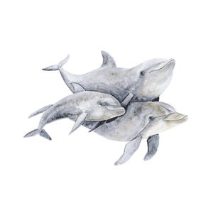 Dolphin Family Illustration - Sea Life Nursery Decor