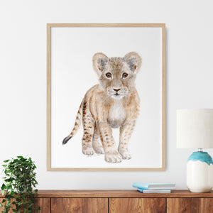 a framed watercolor print of a baby lion cub