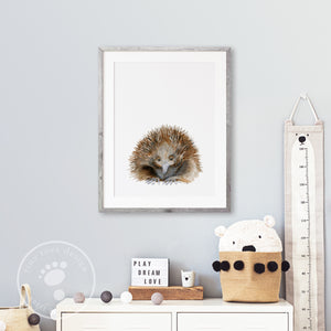 Echidna Nursery Print