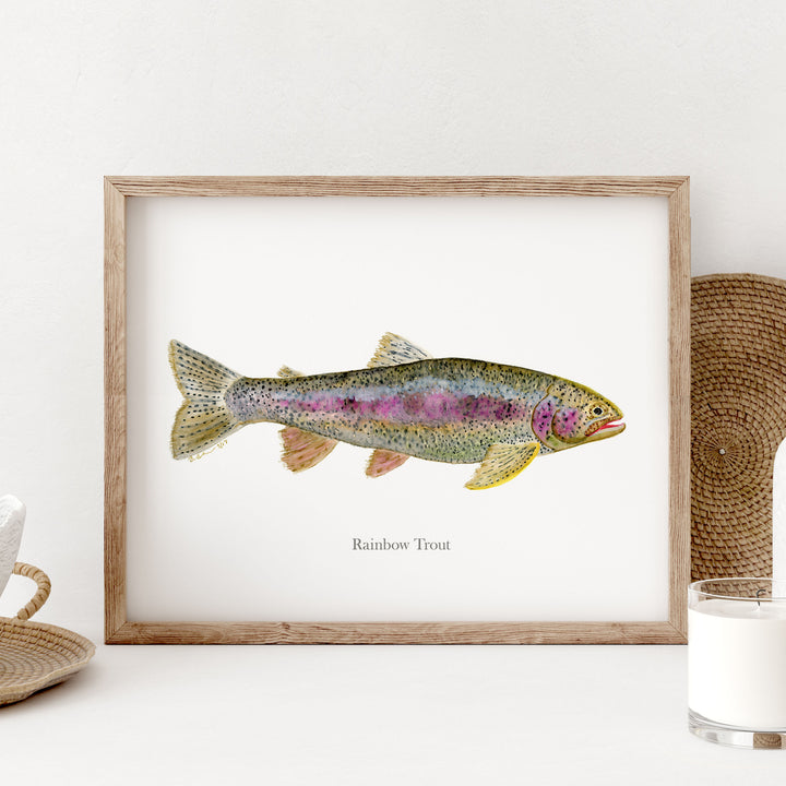 a picture of a rainbow fish in a frame