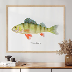 a painting of a yellow perch on a white wall