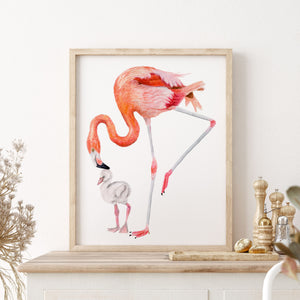 a picture of a flamingo and a baby flamingo