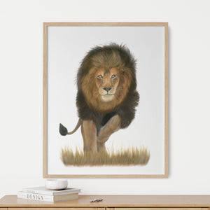 Male Lion Pastel Painting in a frame on a wall