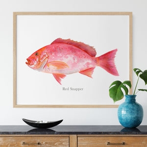 a painting of a red snapper fish on a white wall