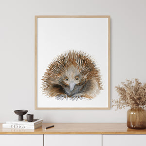 a picture of a porcupine in a frame on a wall