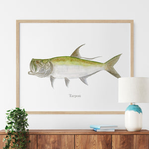 Tarpon Fly Fishing Art Print Gift Watercolor Style Tarpon Wall