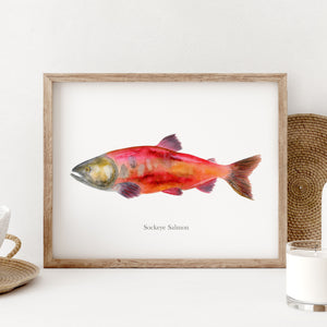 a picture of a fish in a wooden frame