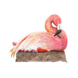 Sleeping Baby Flamingo Print