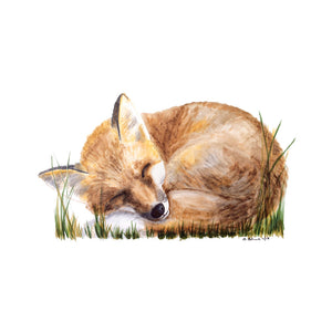Sleeping Fox Woodland Animal Print