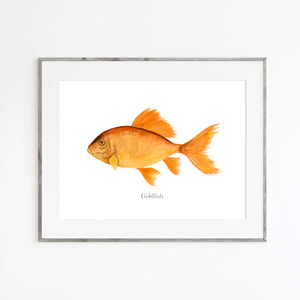 Goldfish Watercolor Print