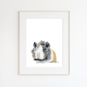 Guinea Pig Pet Portrait