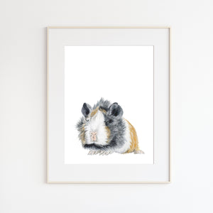 Guinea Pig Pet Portrait