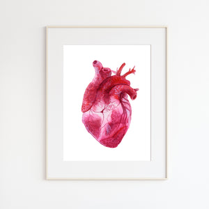 Human Heart Watercolor Painting