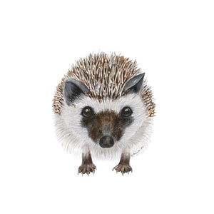 Baby Hedgehog Watercolor Print