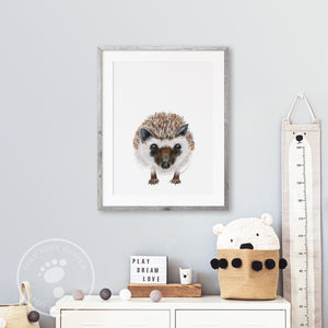 Hedgehog Baby Room Decor