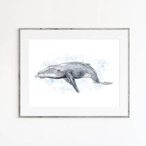 Humpback Whale Nautical Print