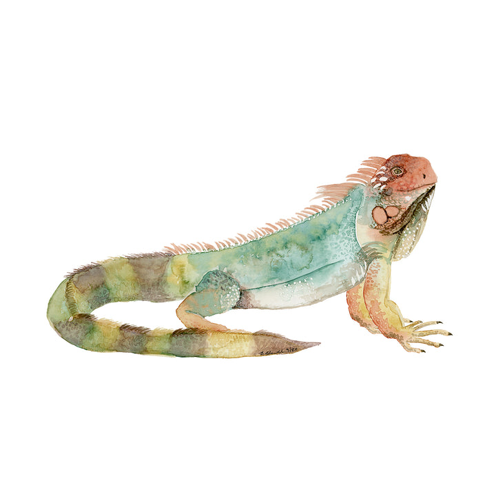 Iguana Nursery Decor
