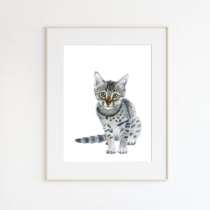 Kitten Watercolor Illustration