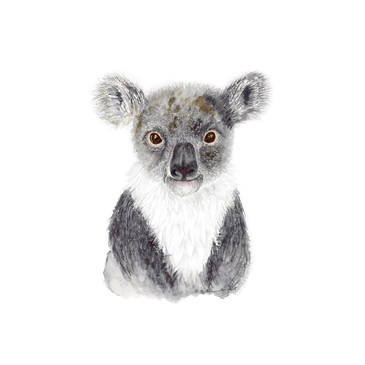 Baby Koala Portrait - Aussie Nursery Art, Brett Blumenthal