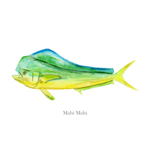 Mahi Mahi Watercolor Print