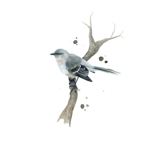 Florida State Bird Watercolor