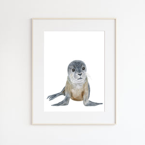 Baby Seal Watercolor Print