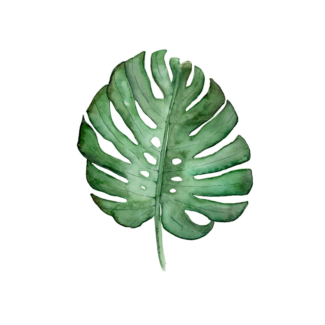 printable monstera leaves Tropical Botanical Wall Art | Monstera Leaf Print