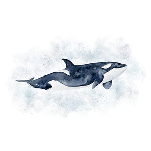 Orca Watercolor Nursery Art