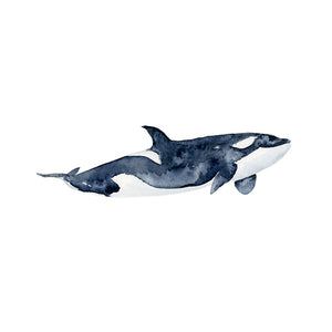 Orca Baby Room Decor