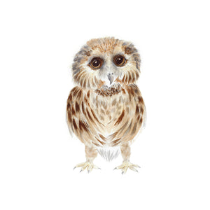 Baby Owl Watercolor Art