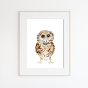 Baby Owl Illustration