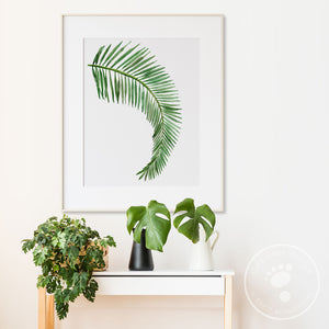 Botanical Wall Decor