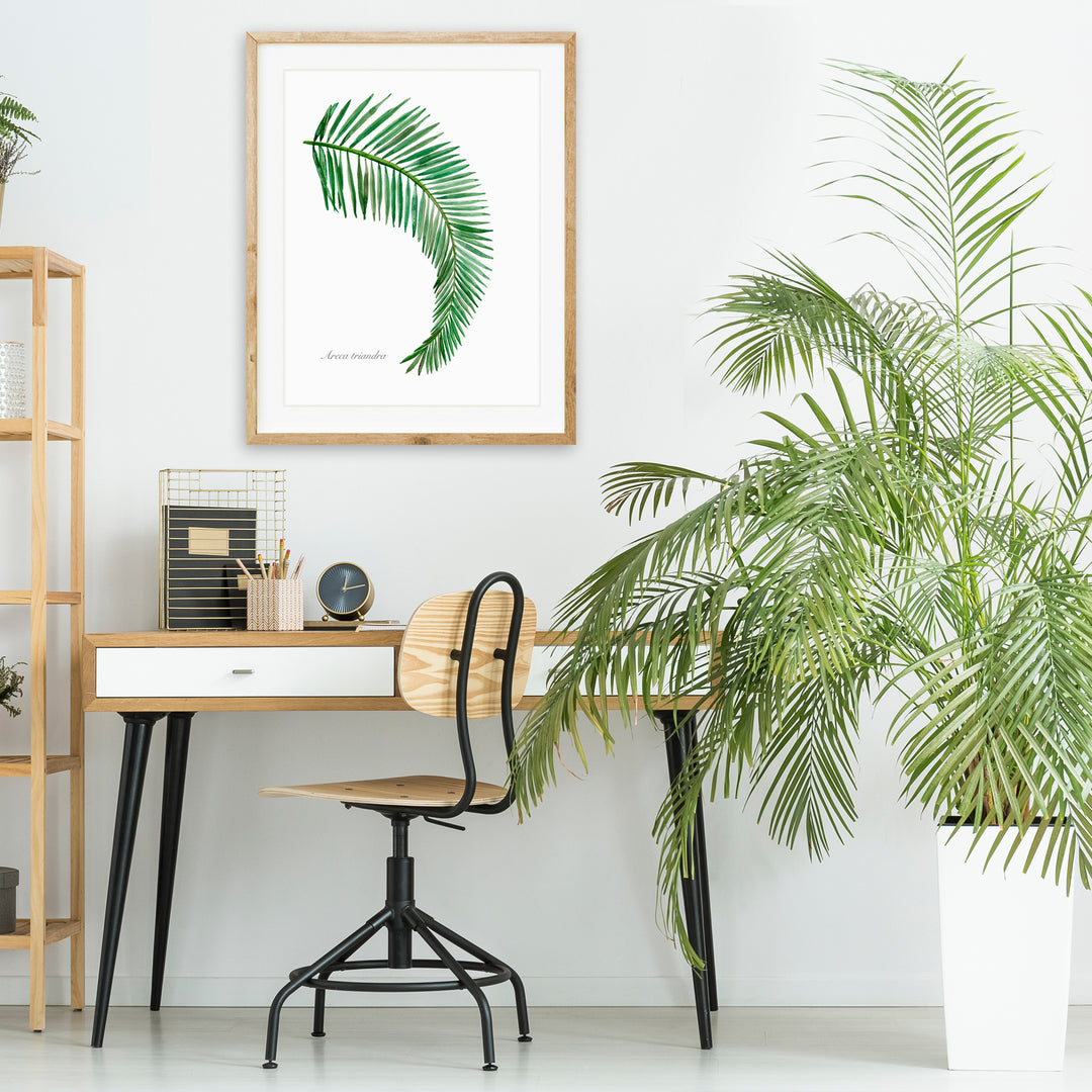 Palm Leaf Watercolor Print