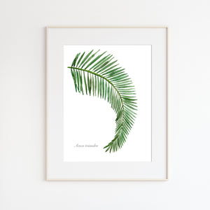 Palm Leaf Botanical Print
