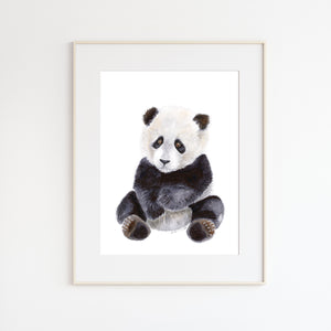 Baby Panda Bear Illustration