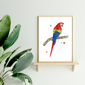 Tropical Parrot Bird Print