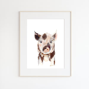 Baby Pig Portrait