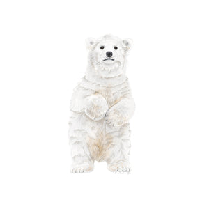 Polar Bear Cub Illustration