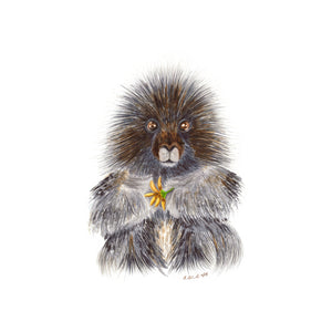 Baby Porcupine Illustration